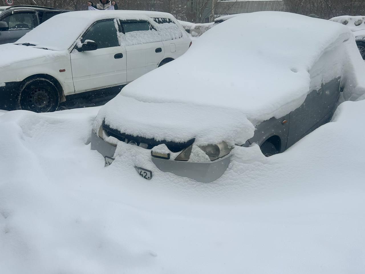 Фото Новосибирск засыпало снегом накануне 40-градусных морозов: 10 кадров аномальной погоды 8